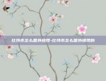 币安bsv是什么币-