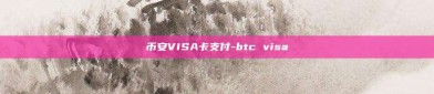 币安VISA卡支付-btc visa