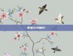 币安519赔付-