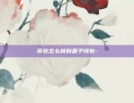 币安怎么转到麦子钱包-