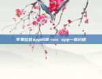 币安里面合约怎么弄-