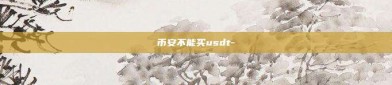 币安不能买usdt-