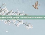 520虚拟货币现多少-虚拟币5x