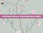 投资虚拟货币合约-虚拟币合同