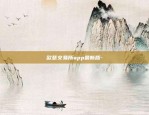 虚拟货币代付是什么意思-虚拟币代币是什么意思