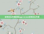 币安web端是什么意思-