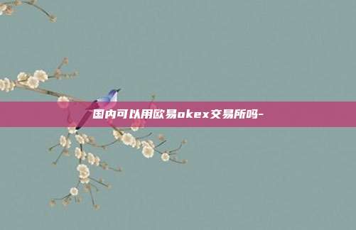 国内可以用欧易okex交易所吗-