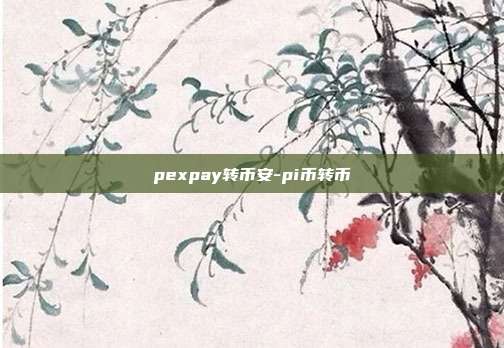 pexpay转币安-pi币转币