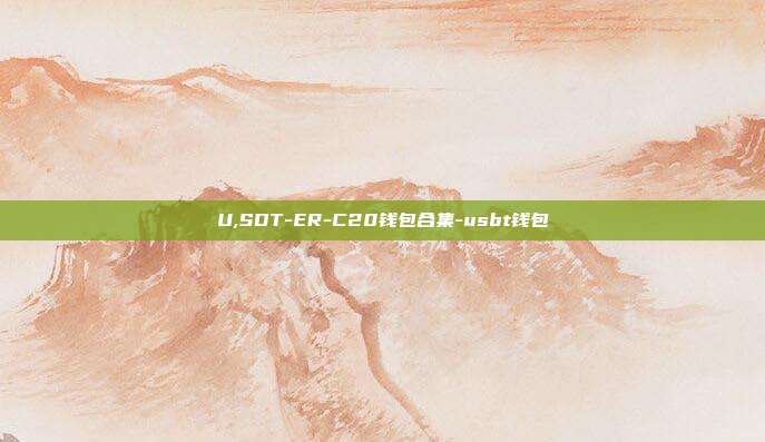 U,SDT-ER-C20钱包合集-usbt钱包