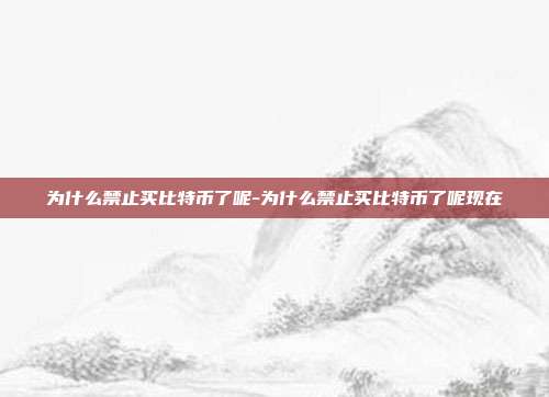 为什么禁止买比特币了呢-为什么禁止买比特币了呢现在