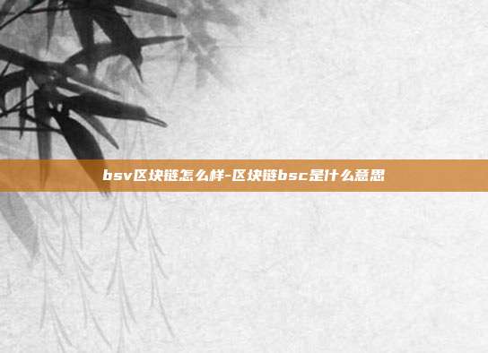 bsv区块链怎么样-区块链bsc是什么意思