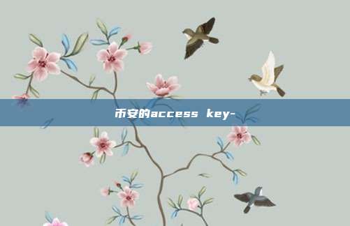 币安的access key-