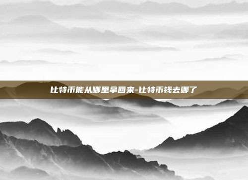 比特币能从哪里拿回来-比特币钱去哪了