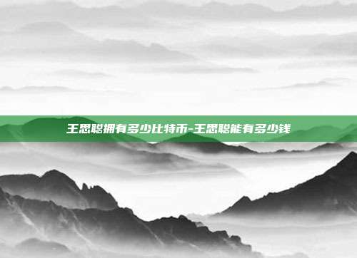 王思聪拥有多少比特币-王思聪能有多少钱