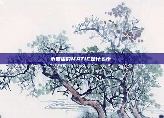 币安里的MATIC是什么币-