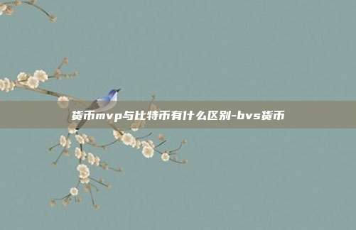 货币mvp与比特币有什么区别-bvs货币