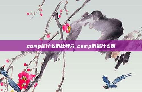 comp是什么币比特元-comp币是什么币