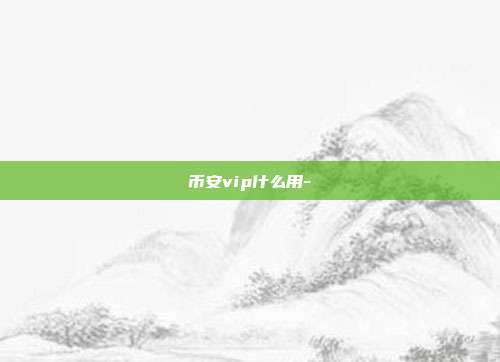 币安vip什么用-