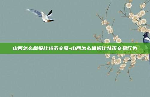 山西怎么举报比特币交易-山西怎么举报比特币交易行为