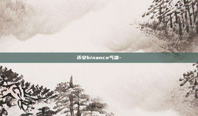 币安binance气体-