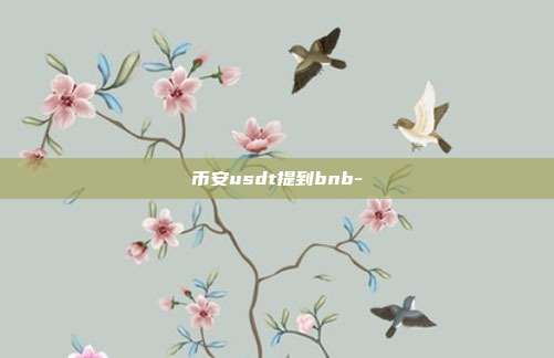 币安usdt提到bnb-