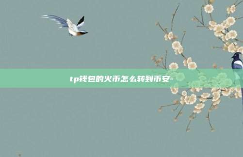 tp钱包的火币怎么转到币安-