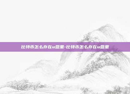 比特币怎么存在u盘里-比特币怎么存在u盘里