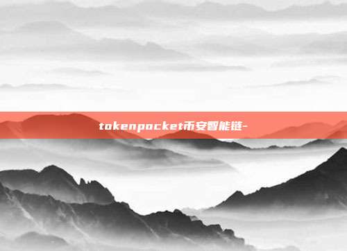 tokenpocket币安智能链-