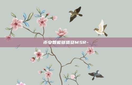 币安智能链借贷MSR-