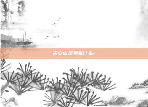 币安盲盒里有什么-