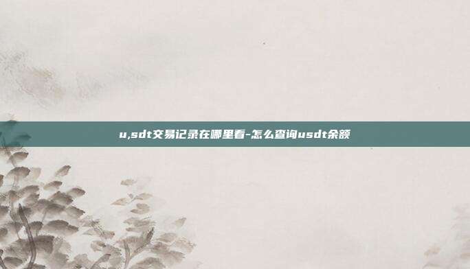 u,sdt交易记录在哪里看-怎么查询usdt余额