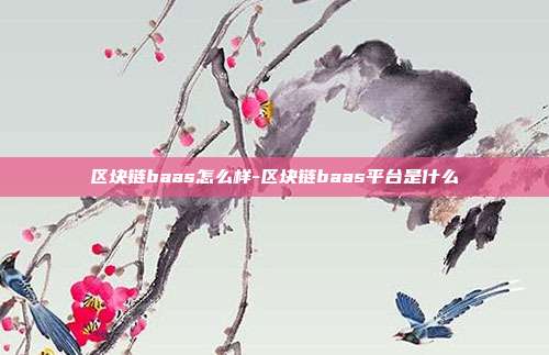 区块链baas怎么样-区块链baas平台是什么