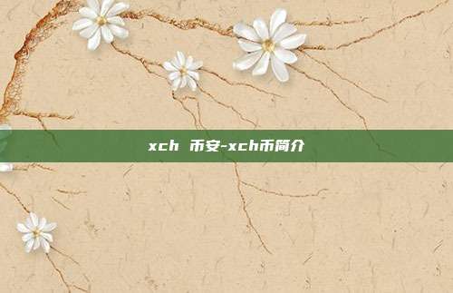 xch 币安-xch币简介