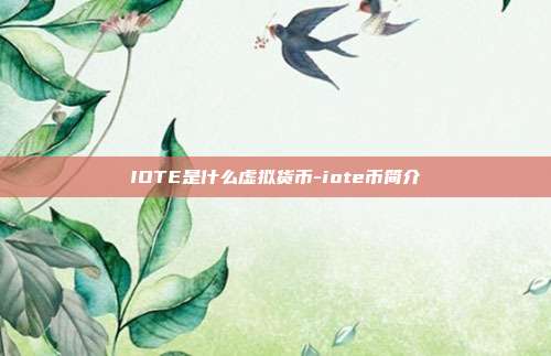 IOTE是什么虚拟货币-iote币简介