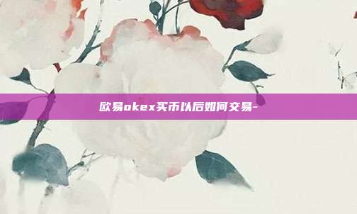 欧易okex买币以后如何交易-