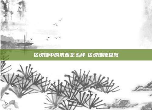 区块链中的东西怎么样-区块链便宜吗