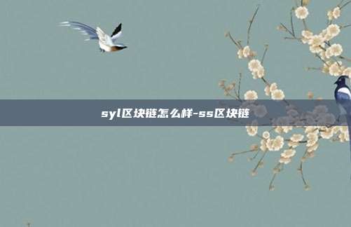 syl区块链怎么样-ss区块链