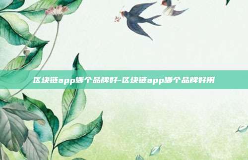 区块链app哪个品牌好-区块链app哪个品牌好用