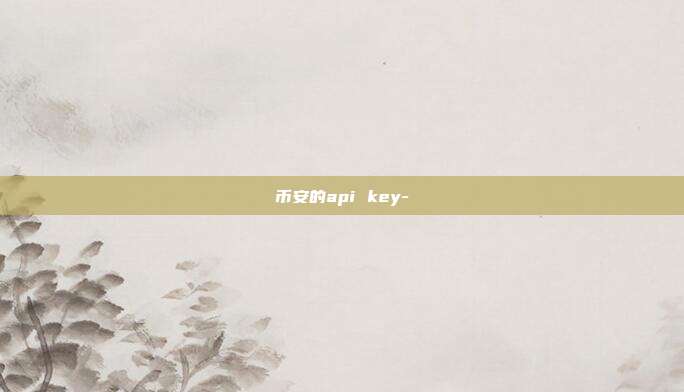 币安的api key-