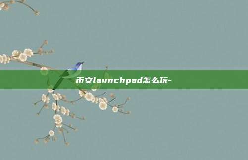 币安launchpad怎么玩-