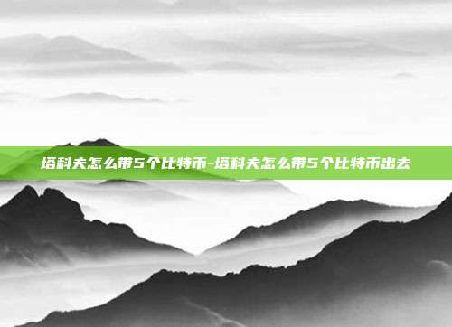 塔科夫怎么带5个比特币-塔科夫怎么带5个比特币出去