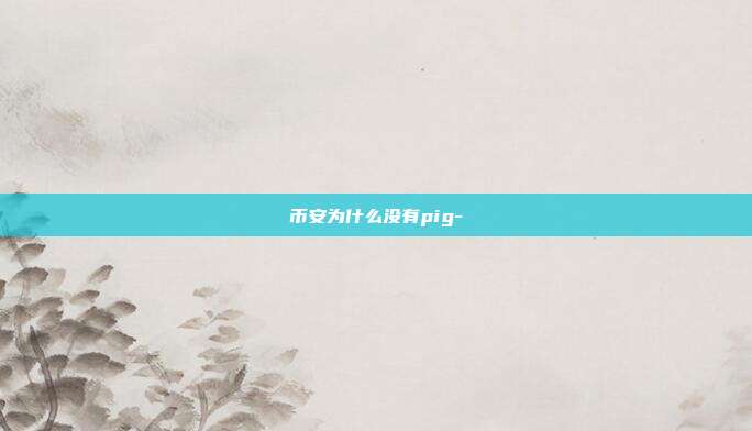 币安为什么没有pig-