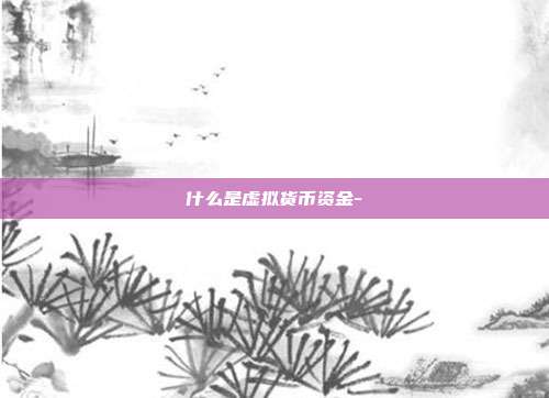 什么是虚拟货币资金-