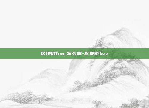 区块链buc怎么样-区块链bzz