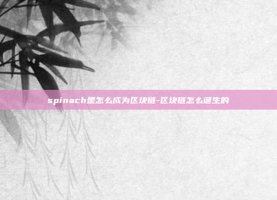 spinach是怎么成为区块链-区块链怎么诞生的