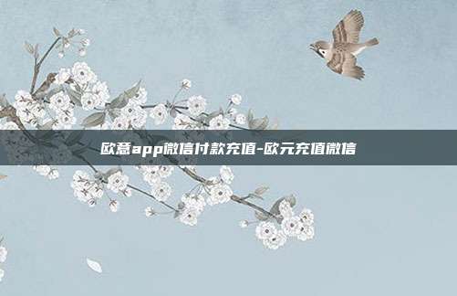 欧意app微信付款充值-欧元充值微信