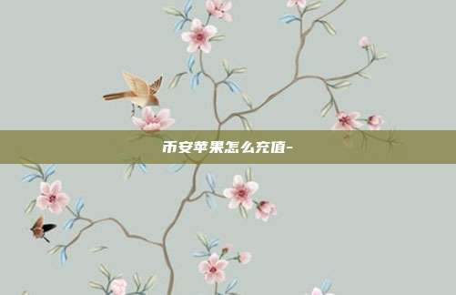 币安苹果怎么充值-