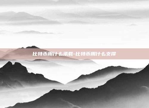 比特币用什么承载-比特币用什么支撑