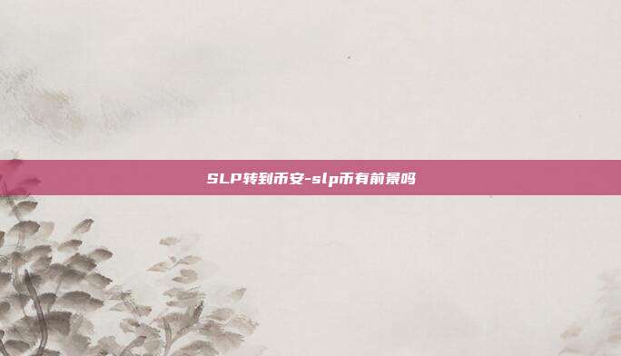 SLP转到币安-slp币有前景吗