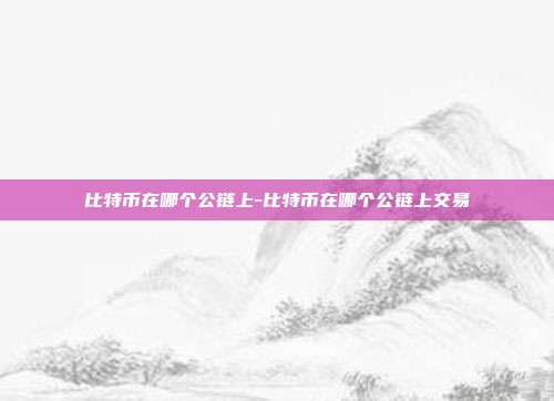 比特币在哪个公链上-比特币在哪个公链上交易